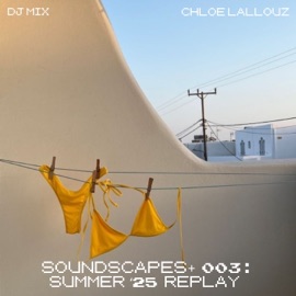 Old Skool (Mixed) Jesús Fernández