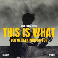 This Is What You've Been Waiting For - Single - Seibold, Riot on the Block & Beatnet