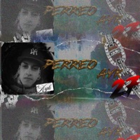 Perreo (feat. AYK27) - Single - MUQERMX