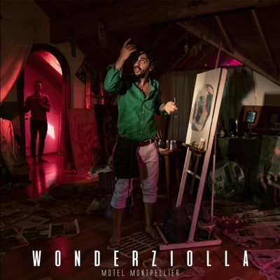Wonderziolla - Single
