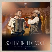 Só Lembrei de Você (Ao Vivo) - Single - Giannini Alencar & Thullio Milionário