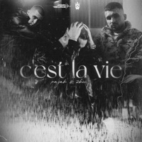 C'est La Vie - Single - Pajak & 2bona