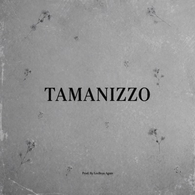 TAMANIZZO - EP