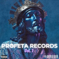 PROFETA RECORDS, Vol. 1 - David Munoz