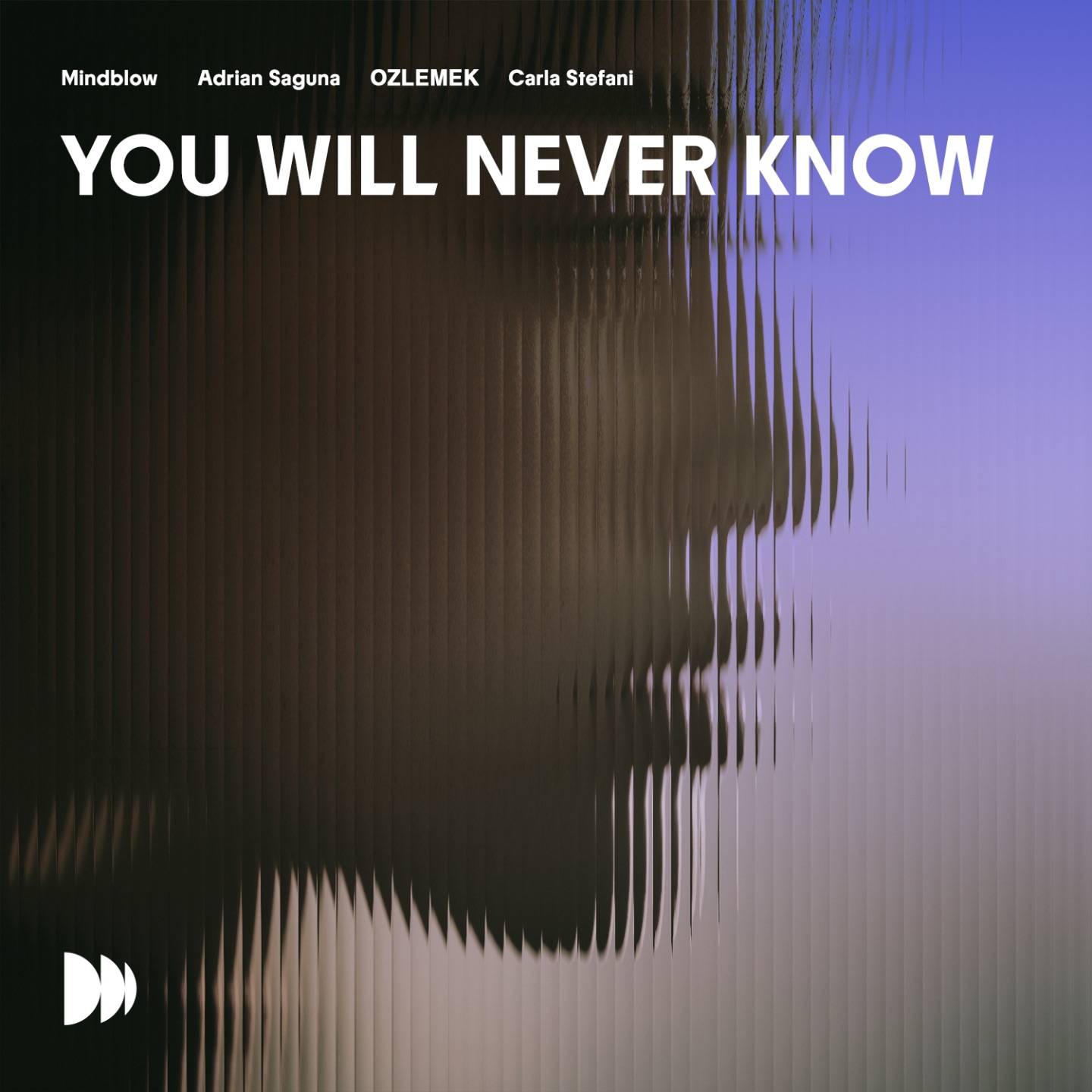 You Will Never Know - Single