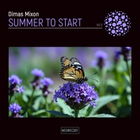 Summer to Start - Single - Dimas Mixon