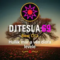 Hullik már a vén diófa levele — DJTESLA69