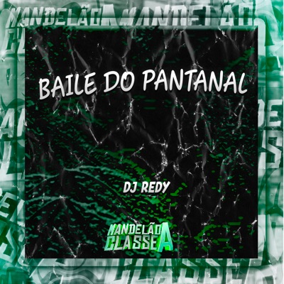 Baile do Pantanal - Single