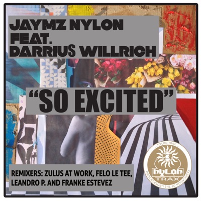 So Excited (feat. Darrius Willrich)
