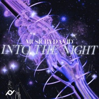 Into The Night - Single - MusicByDavid