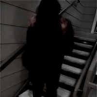 DEMØN SEED - Single - 600Notti