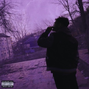 Demon pe Net (feat. sile) [prod. by ZIOAN]