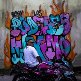 Otro Level Pony Mc