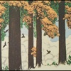 Seasons