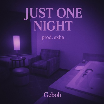 Just One Night - Single