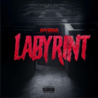 Labyrint (feat. SG Birdy Rado) - Single - HYEN4