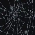 Spiderette