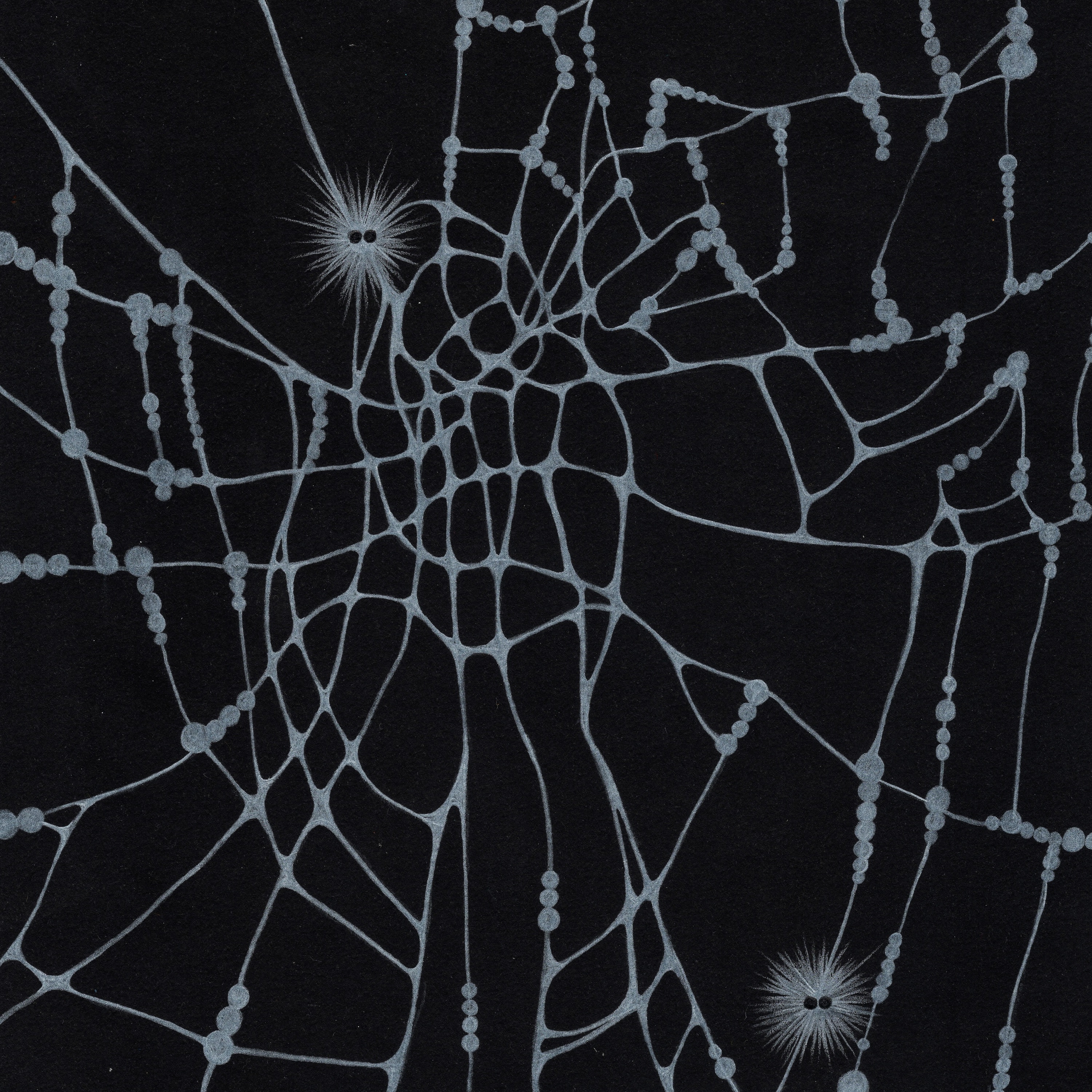 Spiderette - Single