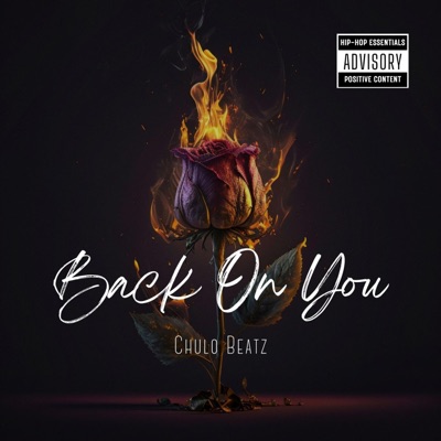 Back On You (Over You) - Single