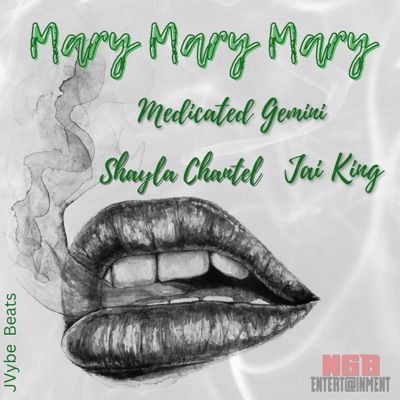 Mary Mary Mary (feat. Shayla Chantel & Jai King) - Single