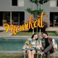 Memikat