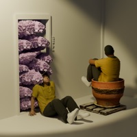 Buddleia - Single - Drew