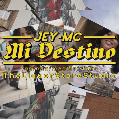 Mi Destino - Single
