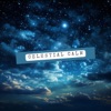 Celestial Calm: Starlit Skies and Quiet Nights