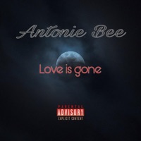 Love Is Gone - Single - Antonie Bee