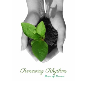 Renewing Rhythms: 528 Hz Flute for Positive Energy