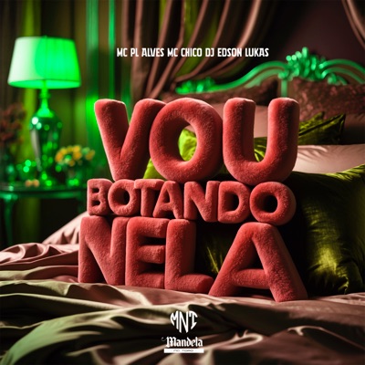 Vou Botando Nela - Single