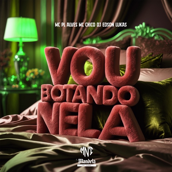 Vou Botando Nela - Single