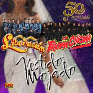 Vestido Mojado - Single
