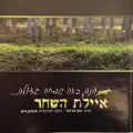 על ידי ניגונים