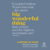 Big Wonderful Thing : A History of Texas - Stephen Harrigan
