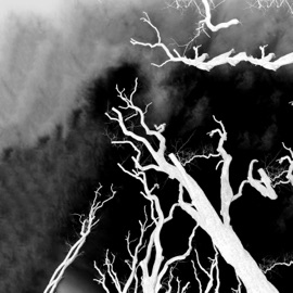 Self Explanatory klyukva & Chuvakam