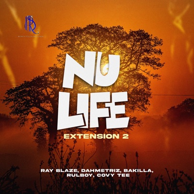 Nu Life Extension 2 (feat. Dahmetriz, Bakilla, Rulboy & Covy Tee) - Single