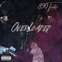 OVER LOADED - 890Trail