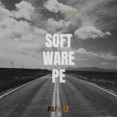 Soft Ware Pe (feat. PaPa Tz) - Single