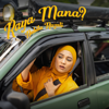 Nabila Razali - Raya Mana? artwork