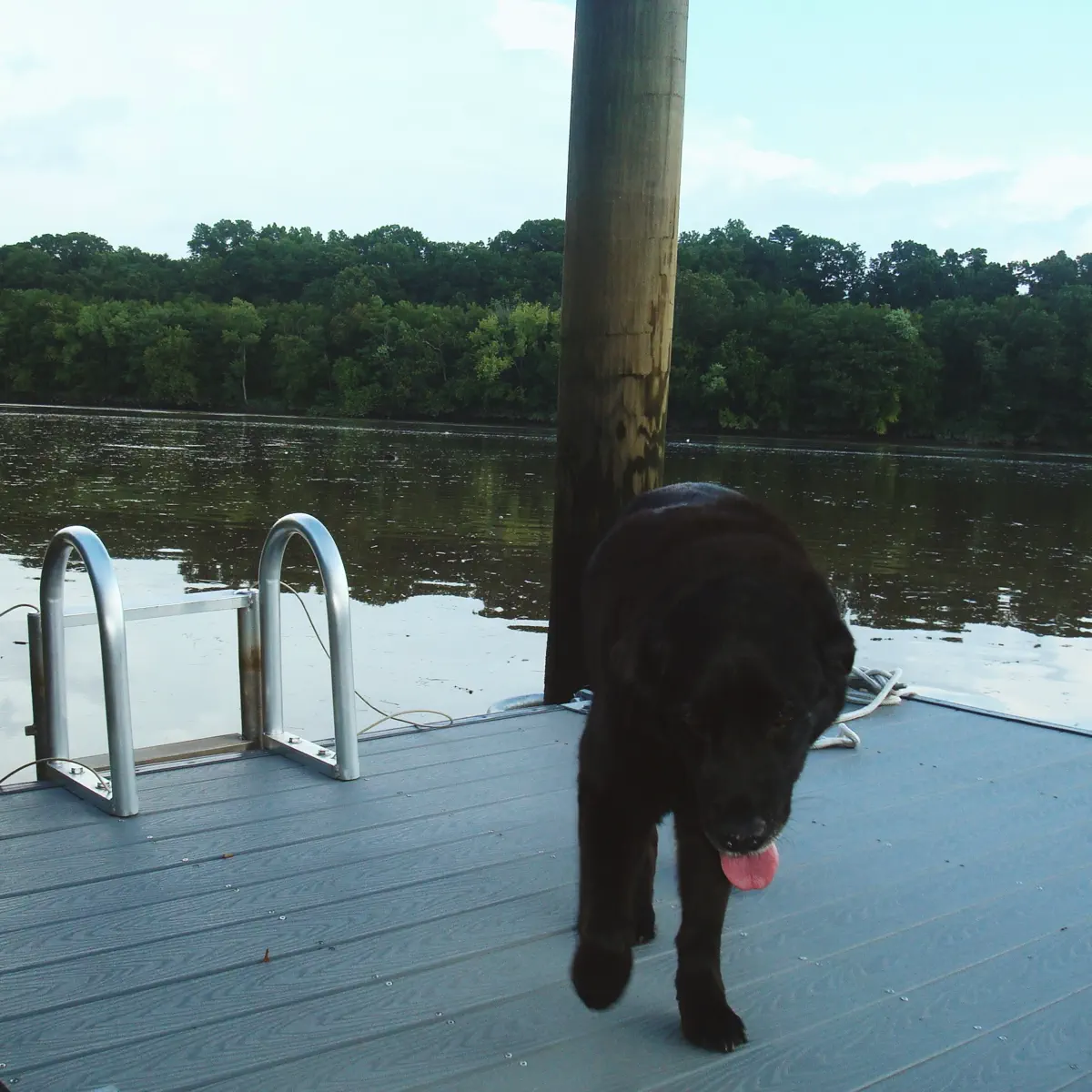 Alex Kehm - At Your Door - EP (2025) [iTunes Plus AAC M4A]-新房子