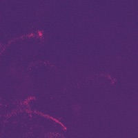 polar - Single - Cope
