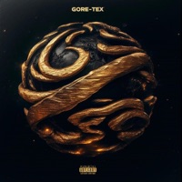 Gore-Tex (feat. Jismael VG & DIX2) - Single - Bardo0