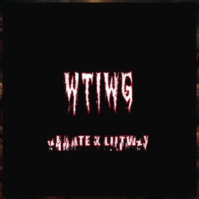 WTIWG (feat. LilTwzy) - Single