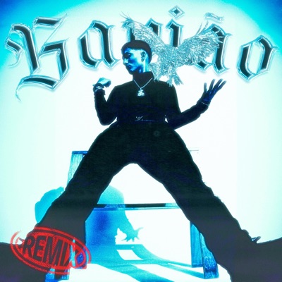 Gavião (DnB Remix) - Single