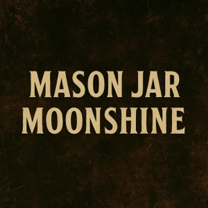 Shined Down - Single