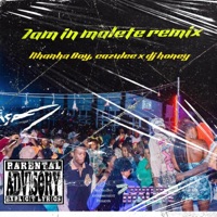DJ MIX (feat. Cazulee & Dj honey) [7AM IN MALETE REMIX] - Single - Nhanha Boy