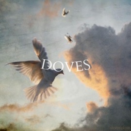 Doves MadMarissa