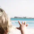 Back to the Water