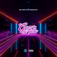 Gozo no Pelo - Single - MC Fopi, DJ Monaliny & Wilson Castro